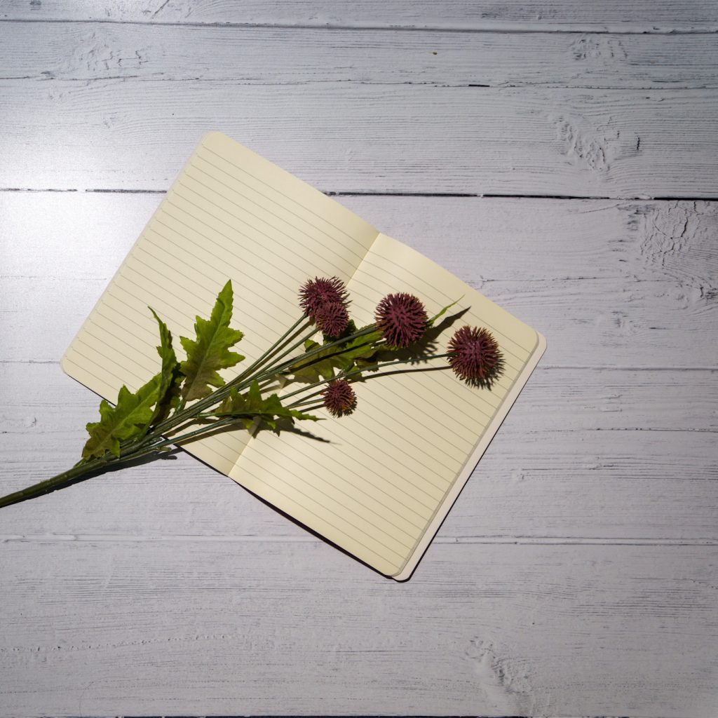 Flatlay image showing an open notebook with purple thistles laying on top - beat the lockdown blues